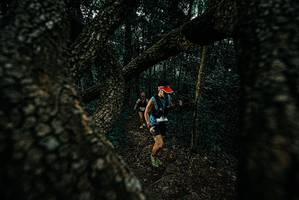 BIB: 
                            <button type="button" onclick="openModal(25688199)" class="btn btn-primary btn-sm float-right btn-popup" data-toggle="modal" data-target=".modal-high-quality">
                        <i class="fas fa-shopping-cart"></i> Add to Cart
                    </button>
                                            <button type="button" onclick="isThisMe(25688199, true)" class="btn btn-success btn-sm float-right btn-popup btn-isme hidden" data-toggle="tooltip" data-placement="bottom" title="นี่คือรูปของคุณใช่ไหม คลิกที่นี่เพื่อเอาเข้าอัลบั้ม">
                        <i class="fas fa-plus"></i> Add to album
                    </button>
                    <button type="button" onclick="isThisMe(25688199, false)" class="btn btn-warning btn-sm float-right btn-popup btn-isnotme hidden">
                        <i class="fas fa-ban"></i> Remove from album
                    </button>